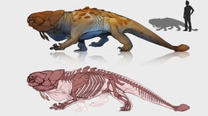 april-prime-creature-1600x900